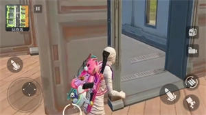 特种吃鸡精英图3