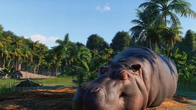 动物园之星免费中文版(3)