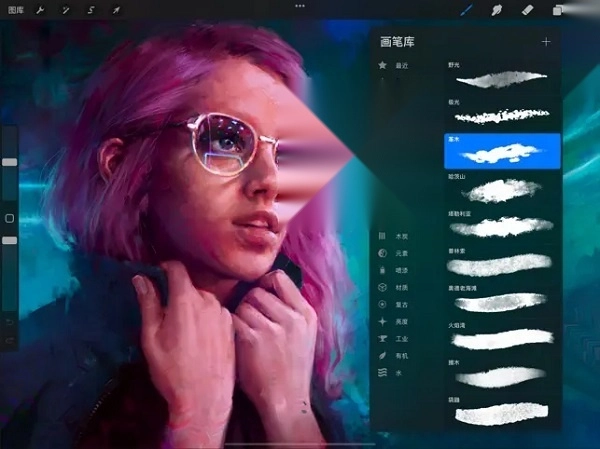 Procreate Pocket图3