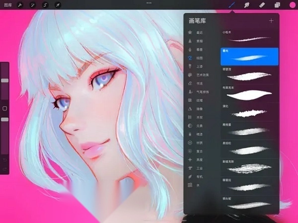 Procreate Pocket中文版图1