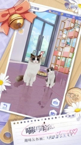 梦间集天鹅座截图3