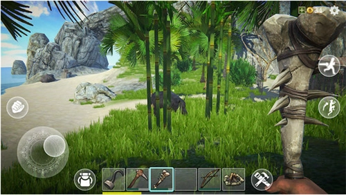 最后的海盗(Last Pirate)