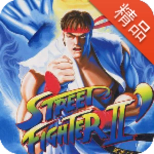 街头霸王2汉化版