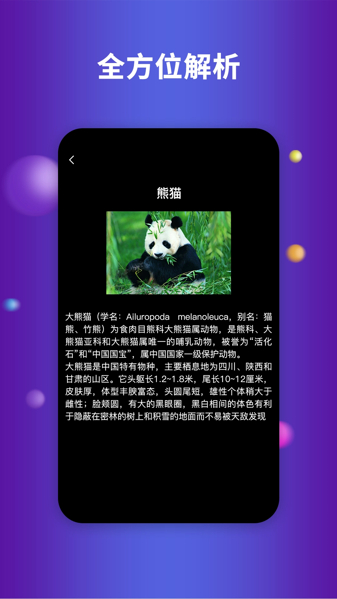 earth地球安装3