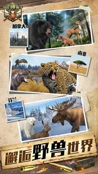 疯狂神射手2026版图1