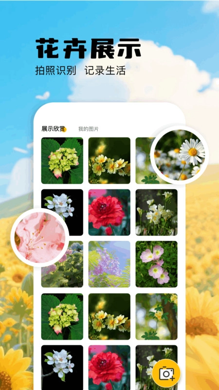 扫描识万物图1