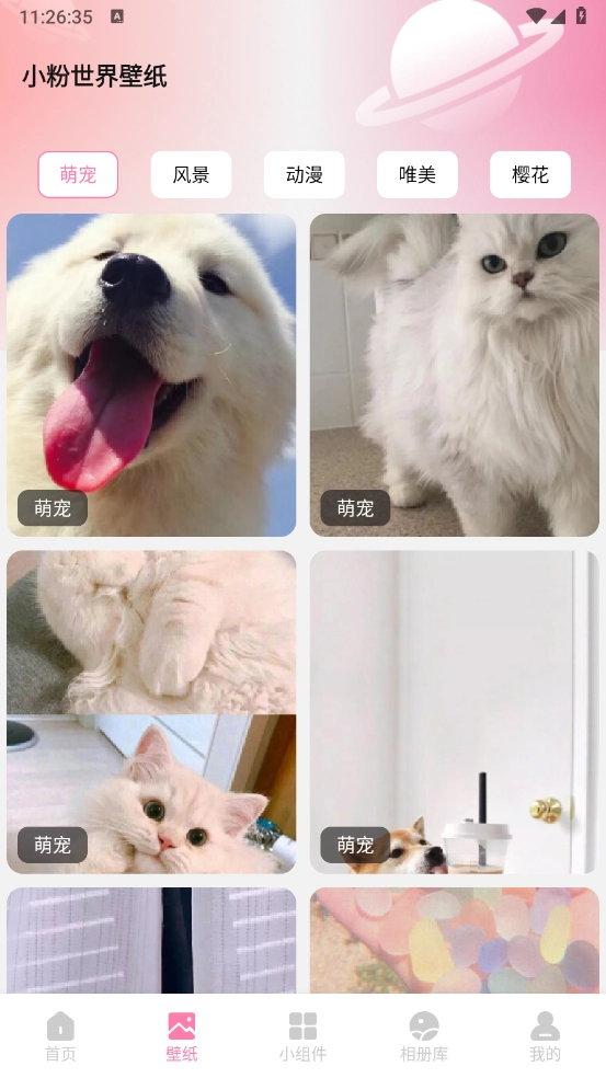 小粉世界壁纸图4