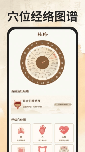 穴位经络图谱-图3