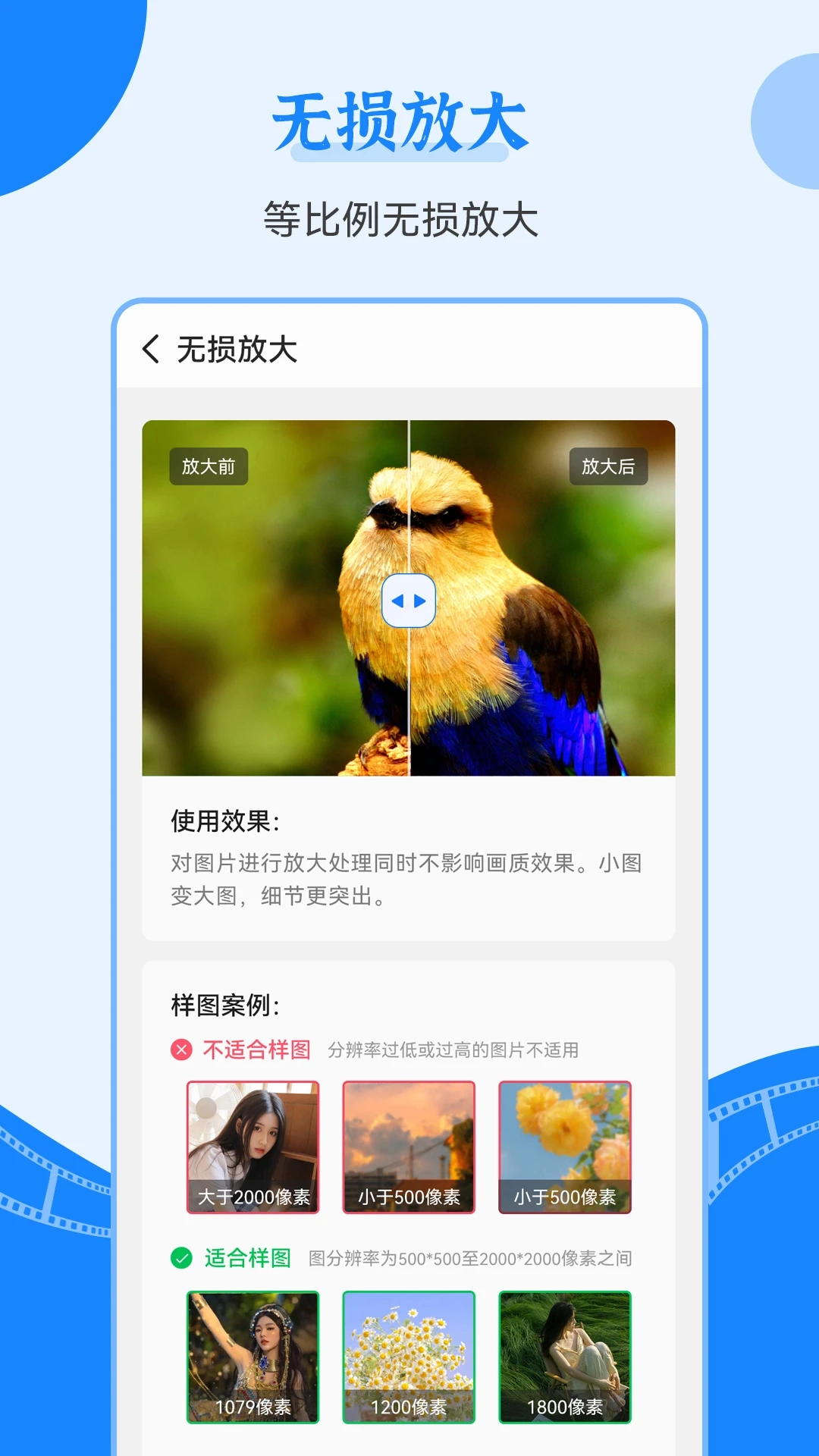 老照片修复王正版图4