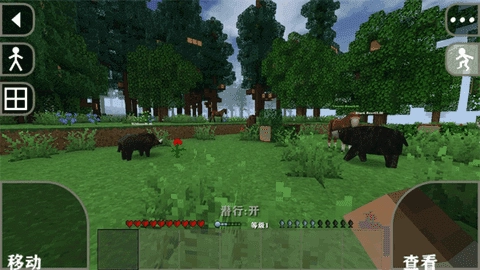 生存战争金属狂潮_Beta(1)