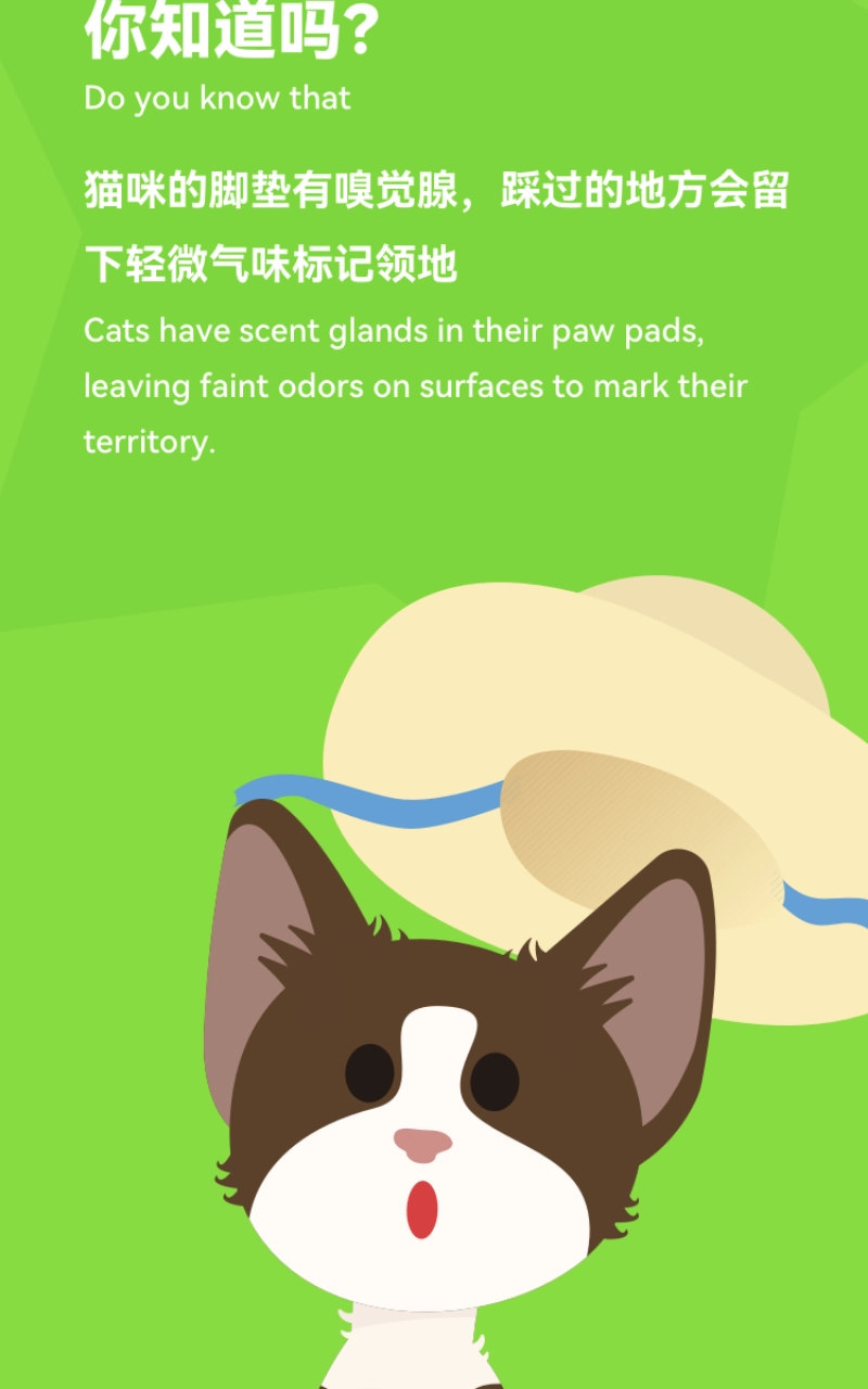 尾巴纪元2026图5