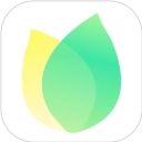 飞火动态壁纸超清版