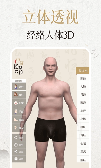 中济经络穴位2026图1
