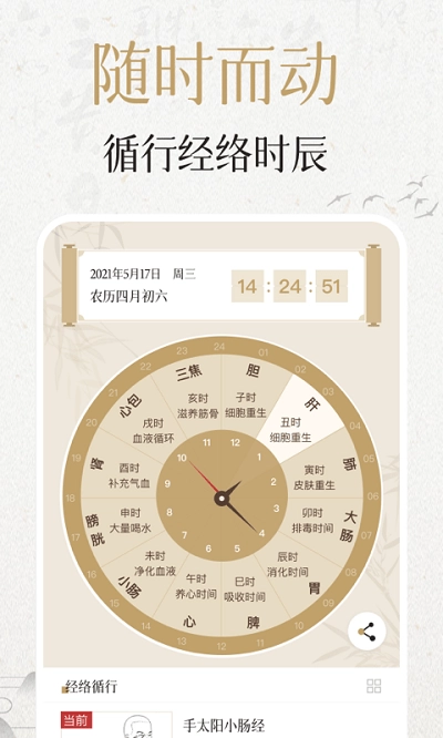 中济经络穴位2026图3