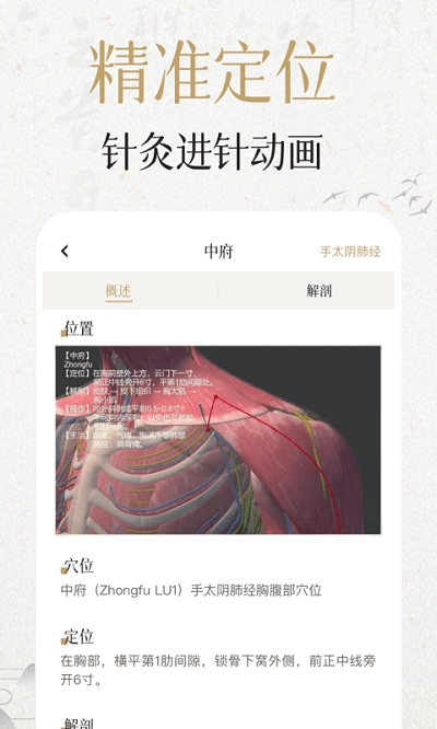 中济经络穴位2026图4