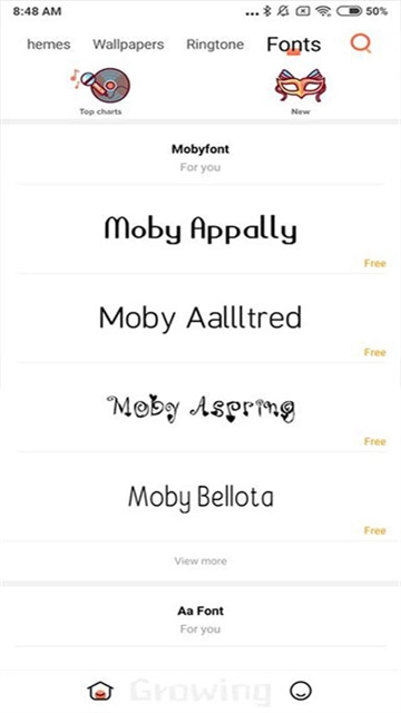 小米主题国际版图3