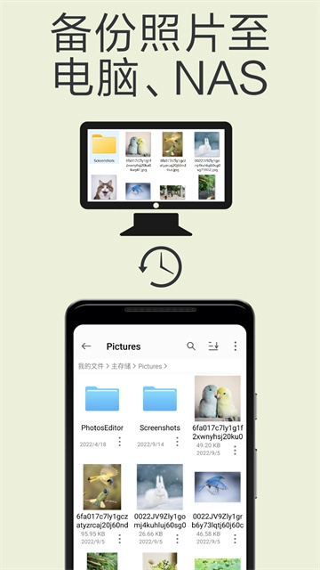 猫头鹰文件图1