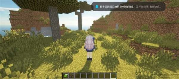 我的世界自定义史蒂夫整合包图1