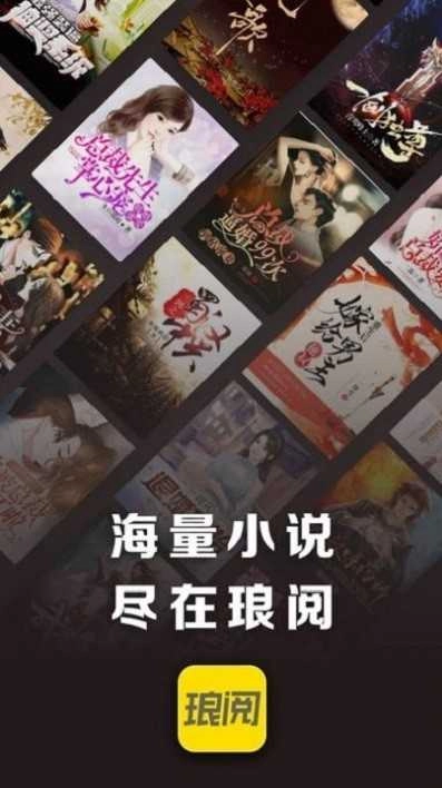 琅阅免费小说 图4