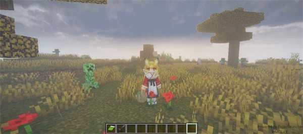 我的世界自定义史蒂夫整合包图2