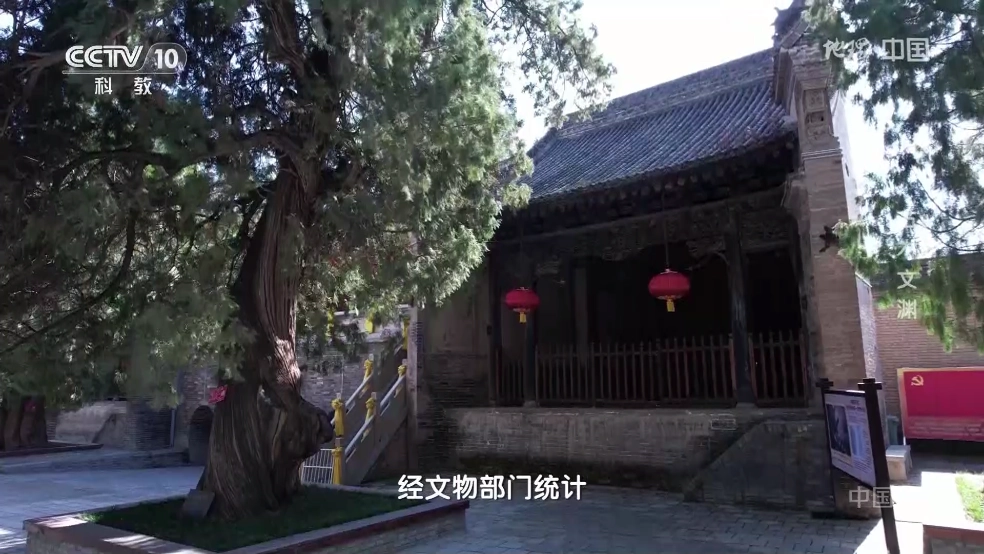 魄狼TV安装包图3