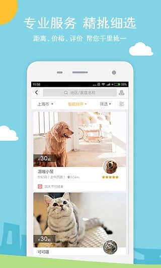小狗在家图1