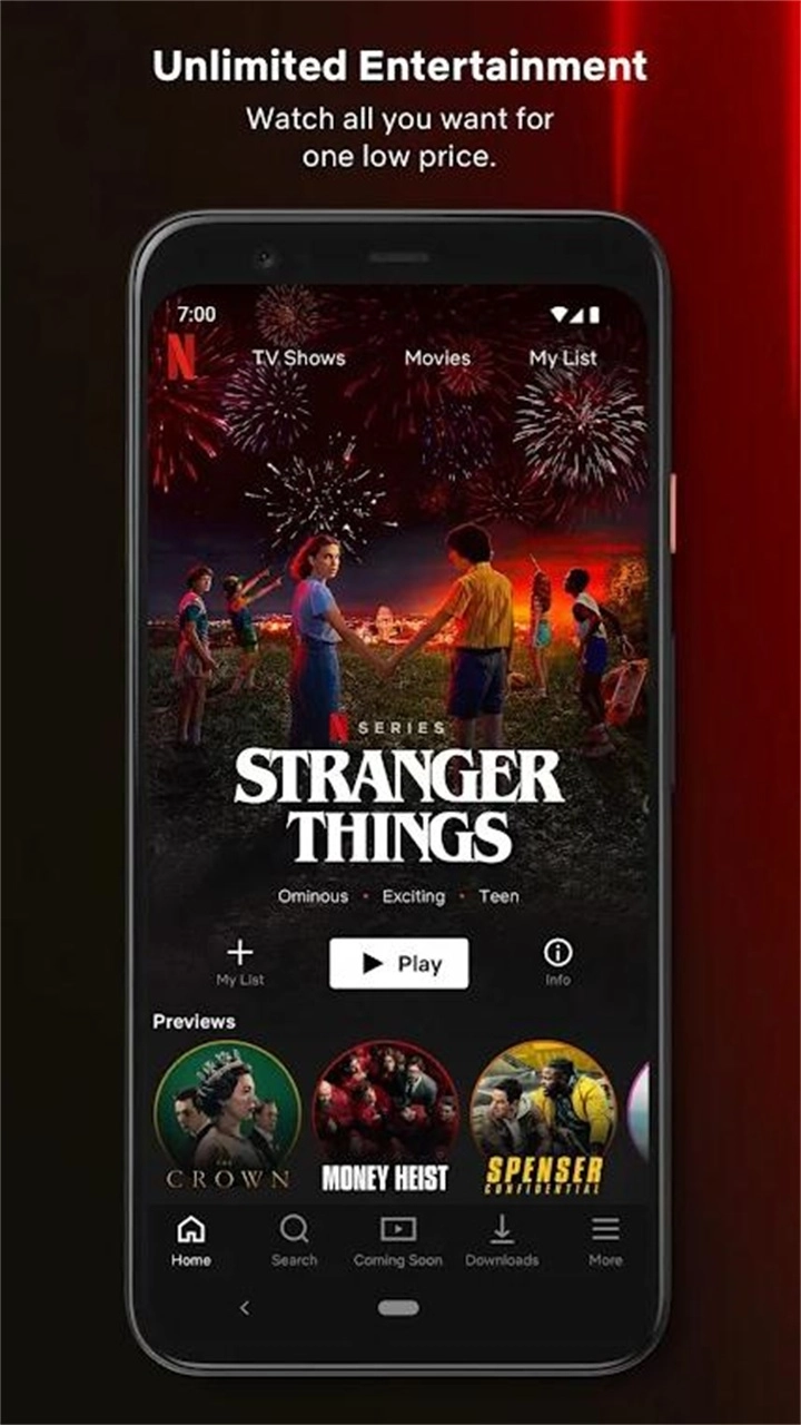 奈飞影视剧(Netflix)  build 3 63666 安卓最新版图3