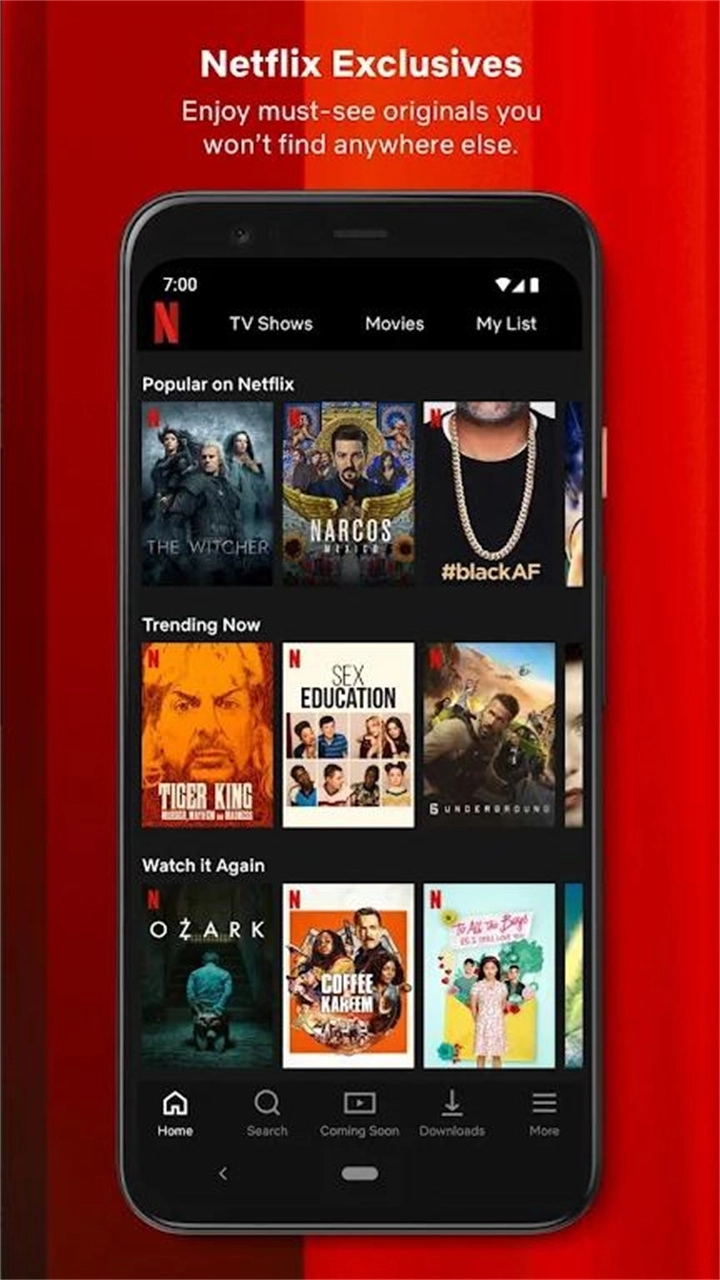奈飞影视剧(Netflix)  build 3 63666 安卓最新版图2