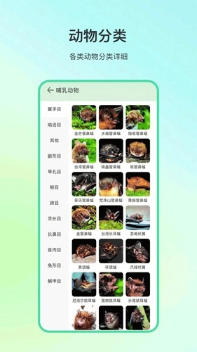 动物百科图4