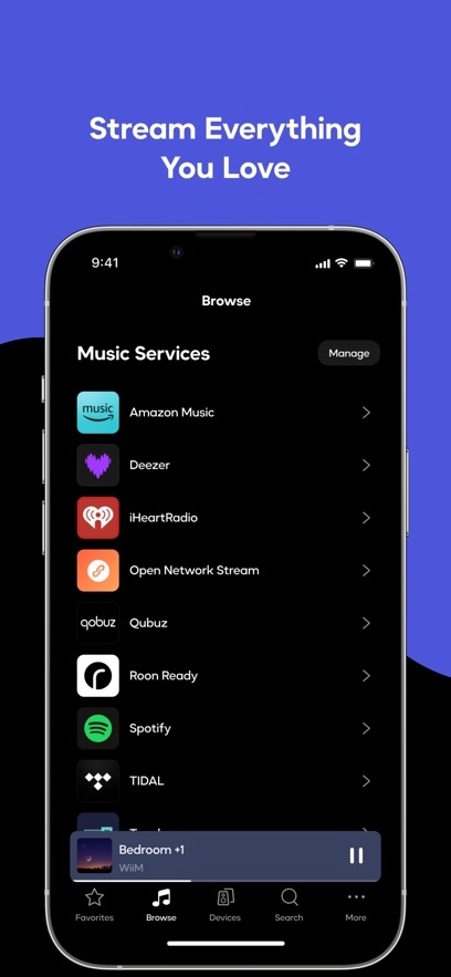 WiiM Home正版图5