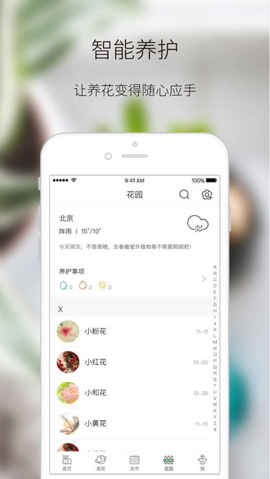 绿手指图4