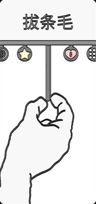 拔条毛 图2