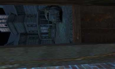 恐怖老奶奶3中文 