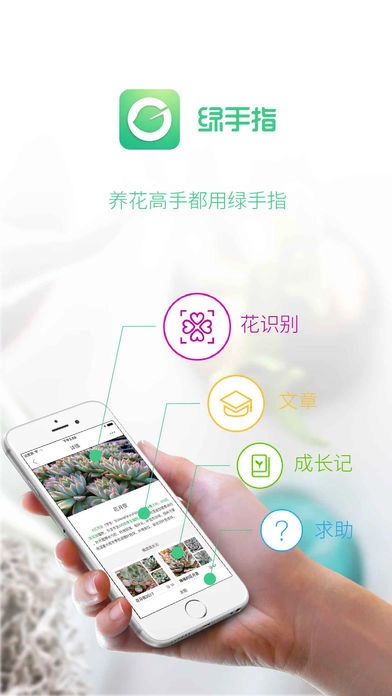 绿手指图1