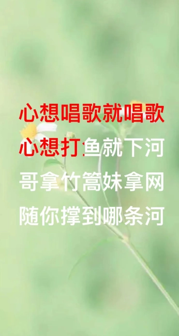 山歌宝典软件图3