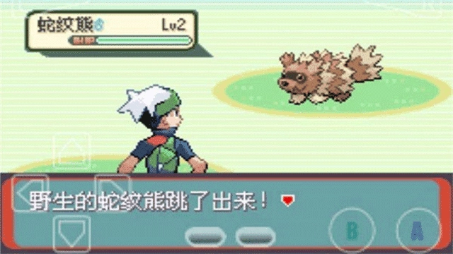 精灵宝可梦绿宝石 