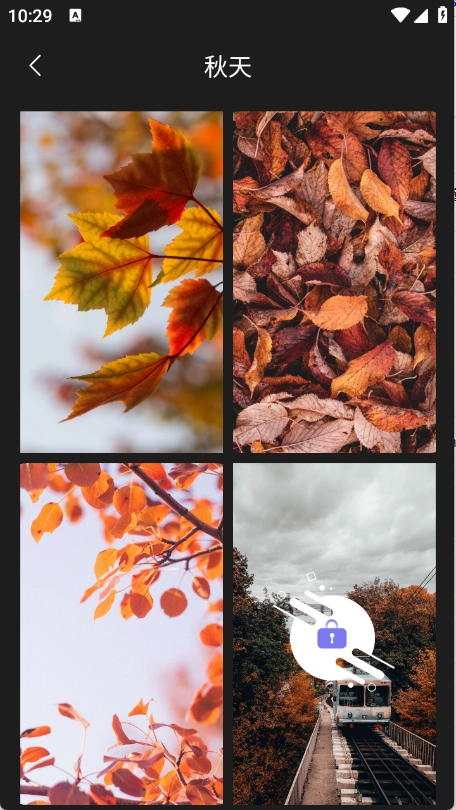 壁纸大全4k安装手机版图4