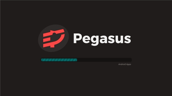 pegasus图3
