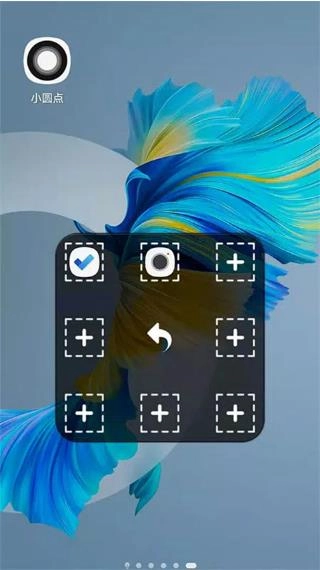 小圆点图2