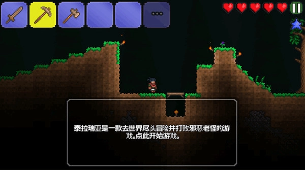 泰拉瑞亚安卓版图3