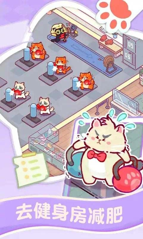 猫咪健身房 .5089(1)