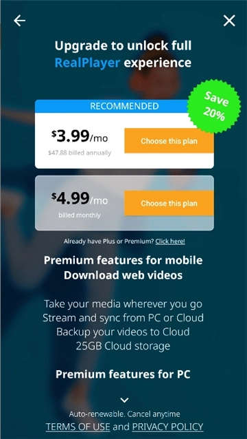 realplayer播放器截图3