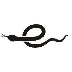 小蛇浏览器 V1.0.0