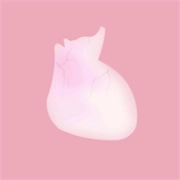 生命life手机最新版