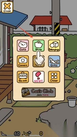 猫咪后院2国际服图4