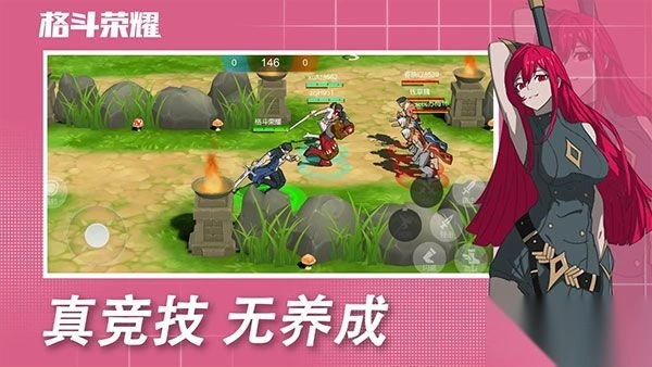 格斗荣耀中文版(3)