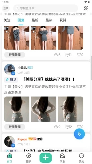 白芷空间图4