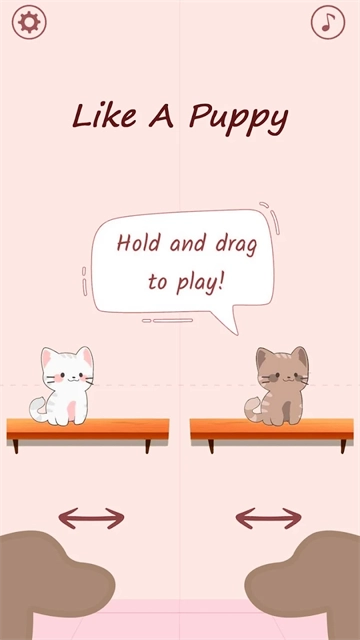 猫咪二重奏 图2