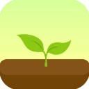forest专注森林