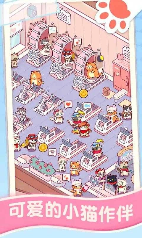 猫咪健身房 .5089(3)